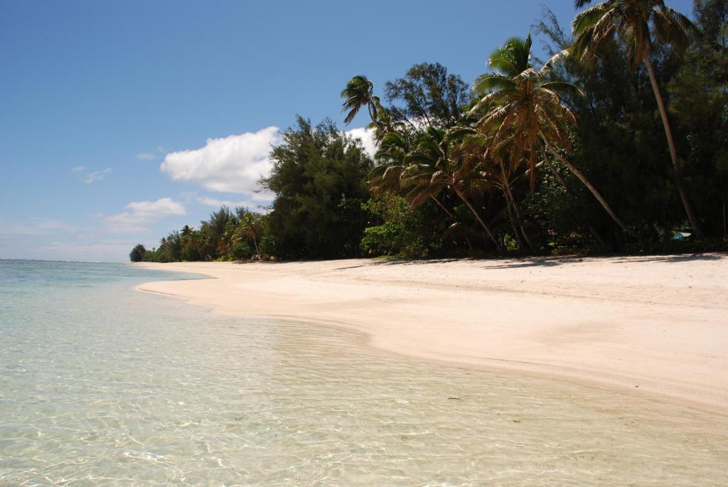 The Black Pearl Beachside Apartments Rarotonga Eksteriør billede